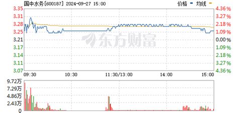 水 股票|国中水务 (600187)